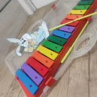 بلز آموزشی نوع