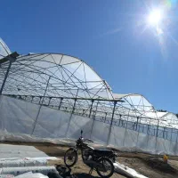 گلخانه|خدمات پیشه و مهارت|یاسوج, |دیوار