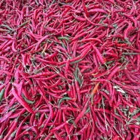 فلفل تند|خوردنی و آشامیدنی|شیراز, شهرک مهدیآباد|دیوار