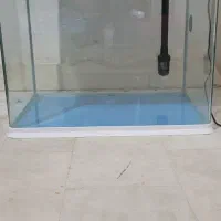 اکواریم