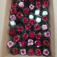 گل مصنوعی با گلدانهای شیشه ای استوانه ای|گل مصنوعی|تهران, یافت آباد جنوبی|دیوار