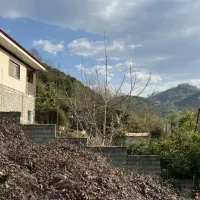 3000متر-زمین-با-کاربری-مسکونی-ویوی-جنگل-و-رودخانه