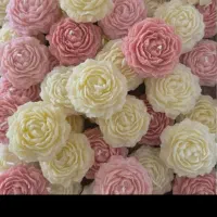 الاله تدی زیبا|صنایع دستی و سایر لوازم تزئینی|زاهدان, |دیوار