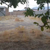 زمین در شهرک قدس