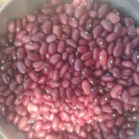 فروش دوتن لوبیا قرمز کشت امسال بوجاری شده|خوردنی و آشامیدنی|نمشیر, |دیوار