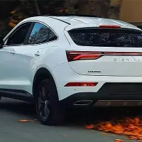دیگنیتی پرایم ۴۰۳ درحد