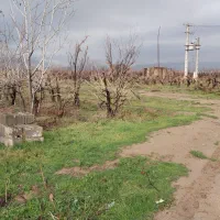 باغ شهری ۱۰۰۰متری