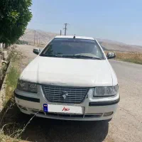 سمند معمولی