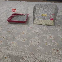 لوازم جانبی حیوانات