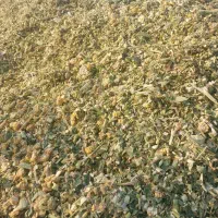 ذرت علوفه (بسته بندی شده)|عمده‌فروشی|صحنه, |دیوار