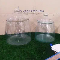 تنگ گلدان شیشه ای تراریوم مدل آزالیا خمره ای