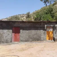 اجاره یک واحد گلدونی(پروار بندی)|اجارهٔ دفتر صنعتی، کشاورزی، تجاری|پاتاوه, |دیوار