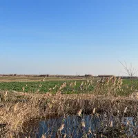 6000-متر-زمین-کشاورزی-نزدیک-دریا-چپکرود