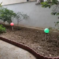 اجاره-170متر-تجاری-بر-اصلی-جاده-دریاکنار