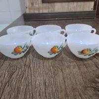 ۱۱عدد فنجان و نعلبکی گل میوه ای