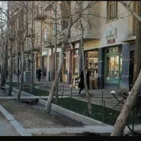 اجاره-تجاری-خیابان-هفده-تن