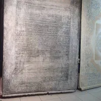 فرش شاه نشین کیفیت و ارزانی را تجربه کنید|فرش|شیراز, فرهنگیان|دیوار