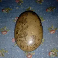 سنگ زیبا و طبیعی تراش نخورده