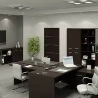 خدمتکار خانم فوری