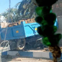 خاک و کود حیوانی