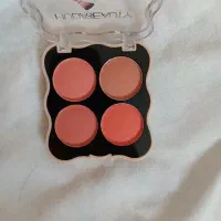 نو  رژگونه|آرایشی، بهداشتی، درمانی|تربتحیدریه, پائین ولایت|دیوار