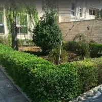 فروش آپارتمان ۵۱ متری ۱ خوابه در تهرانپارس غربی|فروش آپارتمان|تهران, تهرانپارس غربی|دیوار