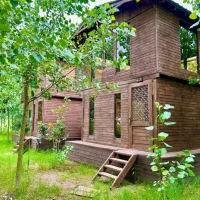 این فرصت طلایی رو ازدست نده