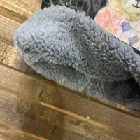 کلاه دو پوم بچه گانه زمستانه|کفش و لباس بچه|اهواز, زندوکیلی|دیوار