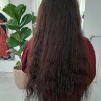 کراتین ،پروتیین،احیامو