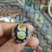 انگشتر|جواهرات|بندر گناوه, |دیوار