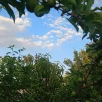 فروش-باغ-ویلا