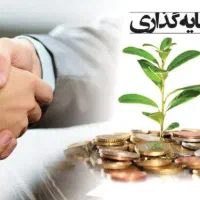 سرمایه گذاری|خدمات مالی، حسابداری، بیمه|اصفهان, میرعماد|دیوار