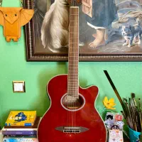 گیتار برند Strauss