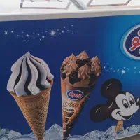 فریزر شرکت دومینو به صورت امانی