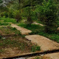 باغ ۱۳۰۰ متری بعد از دروازه قرآن