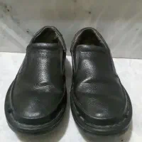 کفش مجلسی