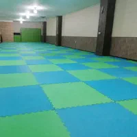 آکادمی هنرهای رزمی آرش (باشگاه ورزشی)