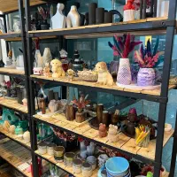 نیرو خانم نیمه وقت