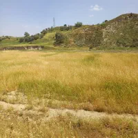 ۳هزار متر زمین کشاورزی ابی