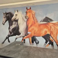 آموزش سوارکاری و پانسیون اسب کوروش