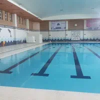 بوفه استخر ( آقا یا خانم)، حقوق یا واگذاری