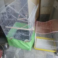 قفس بزرگ پرنده
