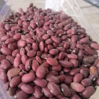 لوبیا قرمز گلی بوجاری شده