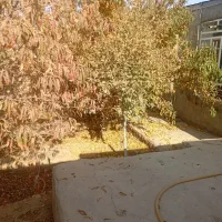 باغ ۶۰۰متری بعداز کارخانه اگزوز|فروش خانه و ویلا|نیشابور, مازول|دیوار