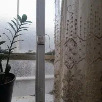 مهتابی سالم