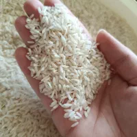 برنج علی کاظمی درجه یک
