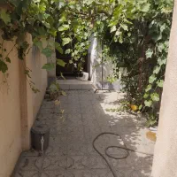 پیلوت-100متری-شهرک-شاهد