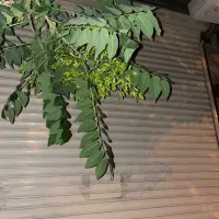 فروش مغازه بسیار لوکس