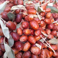 سنجد تازه امسال نرم و رسیده|خوردنی و آشامیدنی|خوی, |دیوار