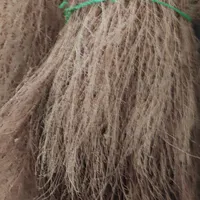 جارو  یا گەسک